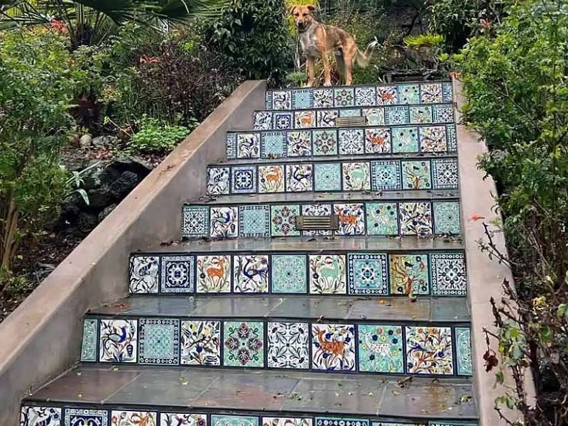 کاشی سرامیک راه‌پله دیوار و بدنه | کاشی هماهنگ با طبیعت